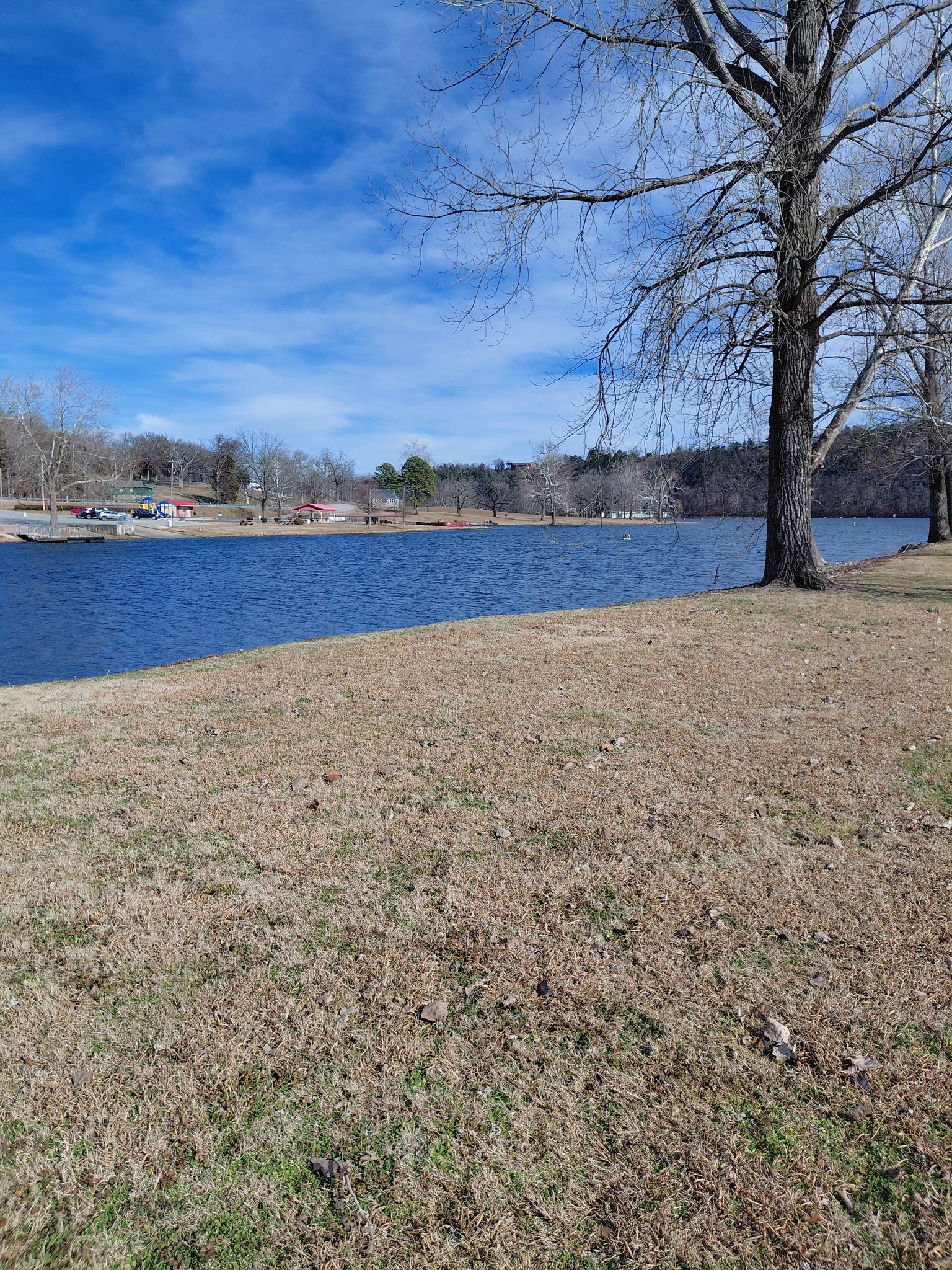 Lake view with trees